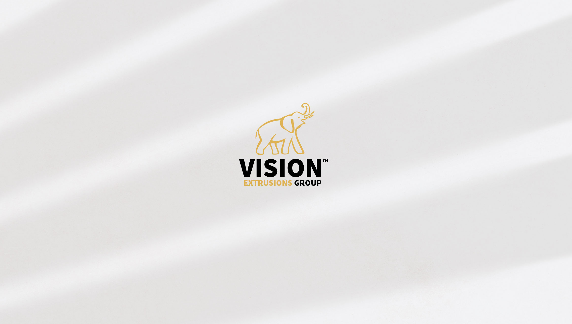 Vision Extrusion Group